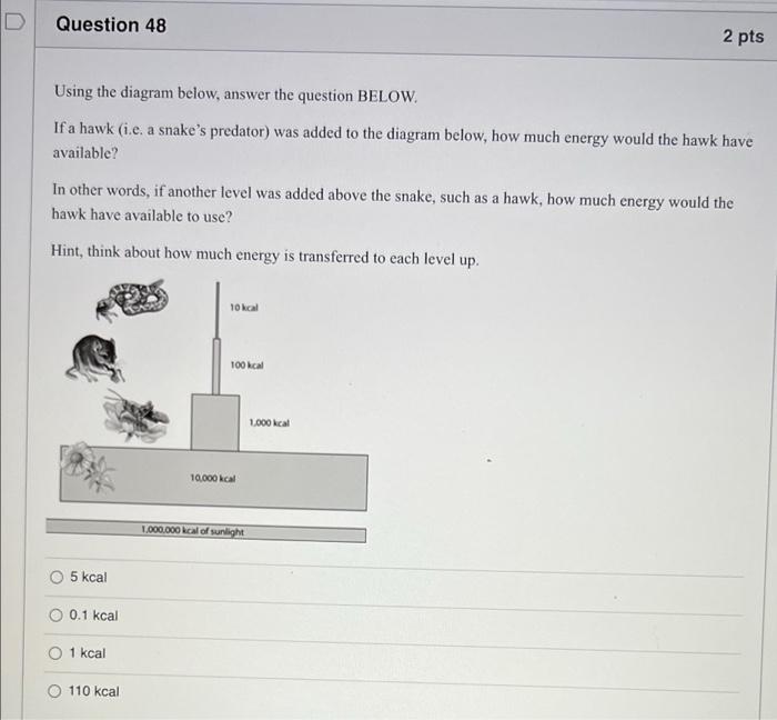 Question 48 2 Pts Using The Diagram Below Answer The Question Below If A Hawk I E A Snake S Predator Was Added To T 1