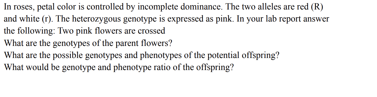 In Roses Petal Color Is Controlled By Incomplete Dominance The Two Alleles Are Red R And White R The Heterozygous 1