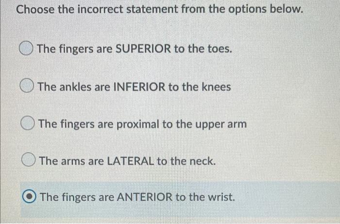 Choose The Incorrect Statement From The Options Below The Fingers Are Superior To The Toes The Ankles Are Inferior To 1