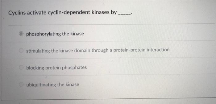 Cyclins Activate Cyclin Dependent Kinases By Phosphorylating The Kinase Stimulating The Kinase Domain Through A Protein 1