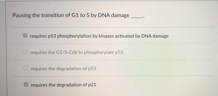 Cyclins Activate Cyclin Dependent Kinases By Phosphorylating The Kinase Stimulating The Kinase Domain Through A Protein 4
