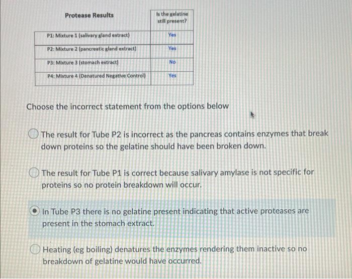 Protease Results Is The Gelatine Still Present Yes Yes P1 Mixture 1 Salivary Sland Extract P2 Mixture 2 Pancreatic 1