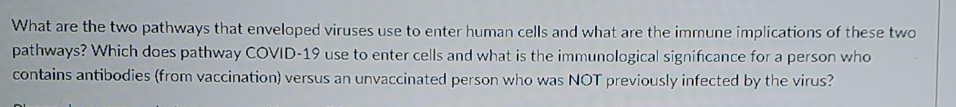 What Are The Two Pathways That Enveloped Viruses Use To Enter Human Cells And What Are The Immune Implications Of These 1