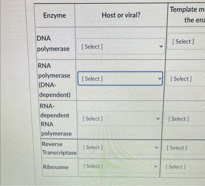 Enzyme Host Or Viral Template M The Enz Dna Select Polymerase Select Rna Polymerase Dna Dependent Select 1