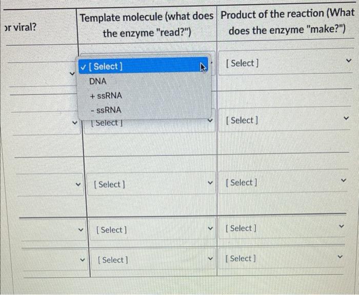 Enzyme Host Or Viral Template M The Enz Dna Select Polymerase Select Rna Polymerase Dna Dependent Select 2