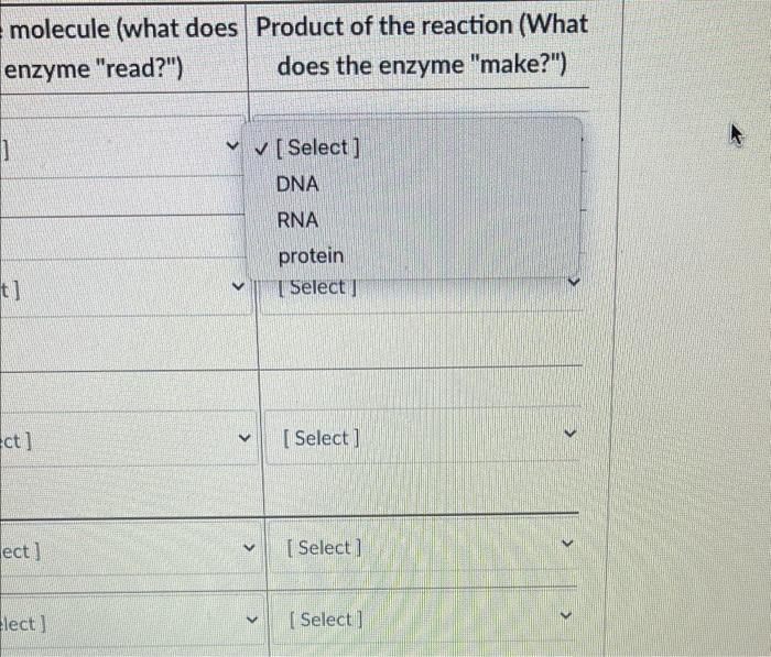 Enzyme Host Or Viral Template M The Enz Dna Select Polymerase Select Rna Polymerase Dna Dependent Select 3