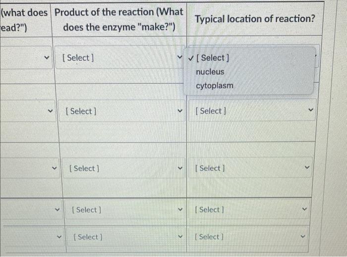 Enzyme Host Or Viral Template M The Enz Dna Select Polymerase Select Rna Polymerase Dna Dependent Select 4