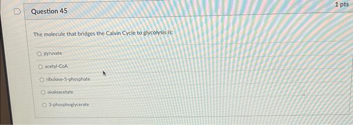 1 Pts Question 45 The Molecule That Bridges The Calvin Cycle To Glycolysis Is O Pyruvate Acetyl Coa Oribulose 5 Phospha 1