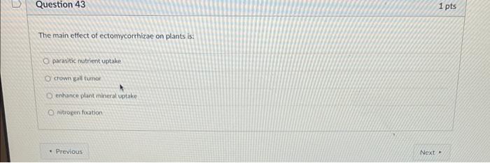 Question 43 1 Pts The Main Etfect Of Ectomycorrhizae On Plants Is O Parasitic Nutrient Uptake Crown Wall Tumor Enhance 1