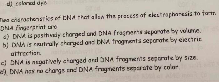 D Colored Dye Two Characteristics Of Dna That Allow The Process Of Electrophoresis To Form Dna Fingerprint Are A Dna I 1