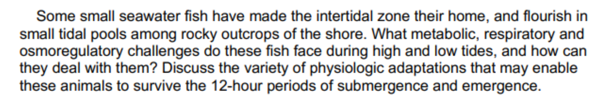 Some Small Seawater Fish Have Made The Intertidal Zone Their Home And Flourish In Small Tidal Pools Among Rocky Outcrop 1