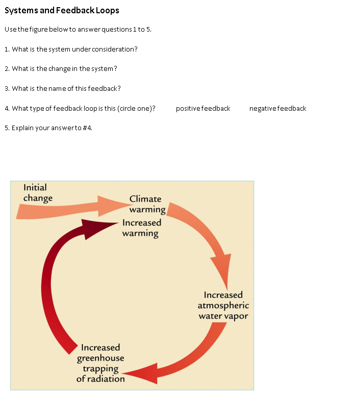Systems And Feedback Loops Use The Figure Below To Answer Questions 1 To 5 1 What Is The System Under Consideration 2 1