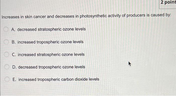 2 Point Increases In Skin Cancer And Decreases In Photosynthetic Activity Of Producers Is Caused By A Decreased Strato 1