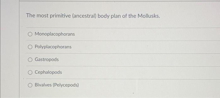 The Most Primitive Ancestral Body Plan Of The Mollusks Monoplacophorans Polyplacophorans Gastropods Cephalopods O Biv 1