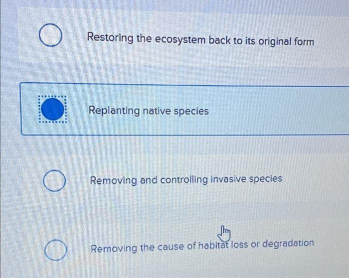 Choose One Option 1