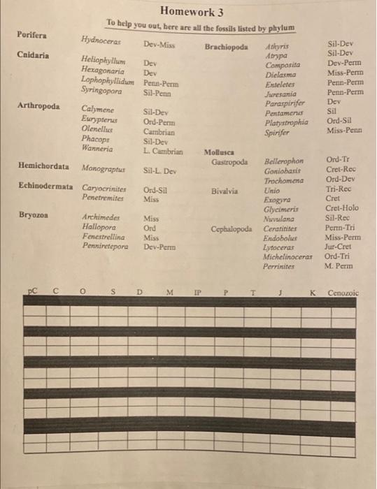 Hydnoceras Homework 3 To Help You Out Here Are All The Fossils Listed By Phylum Porifera Dev Miss Brachiopoda Asyris Cn 1