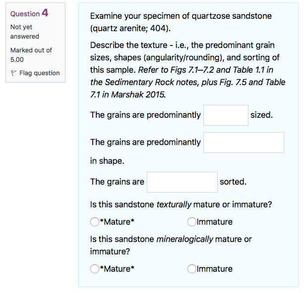 Question 4 Not Yet Answered Marked Out Of 5 00 Flag Question Examine Your Specimen Of Quartzose Sandstone Quartz Arenit 1