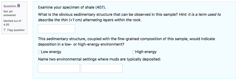 Question 8 Not Yet Answered Marked Out Of 4 00 Flag Question Examine Your Specimen Of Shale 407 What Is The Obvious S 1