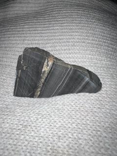 Question 8 Not Yet Answered Marked Out Of 4 00 Flag Question Examine Your Specimen Of Shale 407 What Is The Obvious S 2
