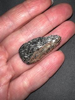 Examine Your Specimen Of Schist 309 Describe The Schistosity In This Rock Max 2 Sentences Question 8 Not Yet Answ 2