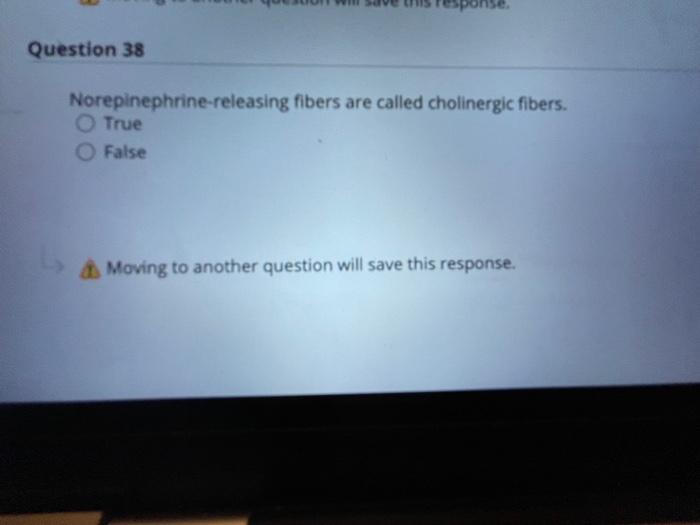 Sponse Question 38 Norepinephrine Releasing Fibers Are Called Cholinergic Fibers O True False Moving To Another Questio 1