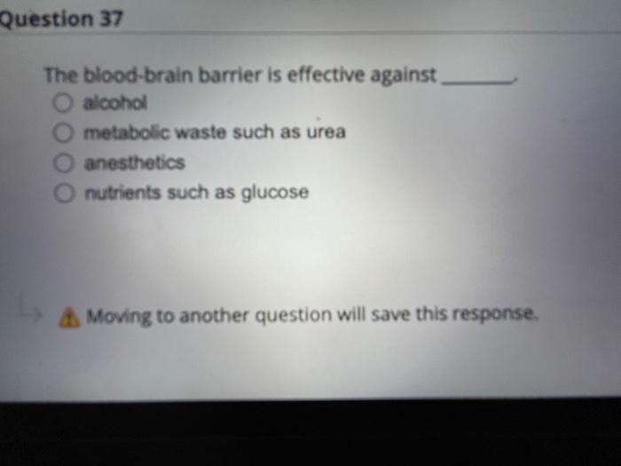 Sponse Question 38 Norepinephrine Releasing Fibers Are Called Cholinergic Fibers O True False Moving To Another Questio 2