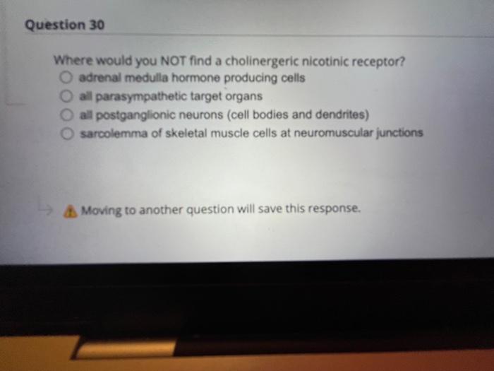 Question 31 The Action Potential Is Caused By Permeability Changes In The Plasma Membrane True False Moving To Another 2