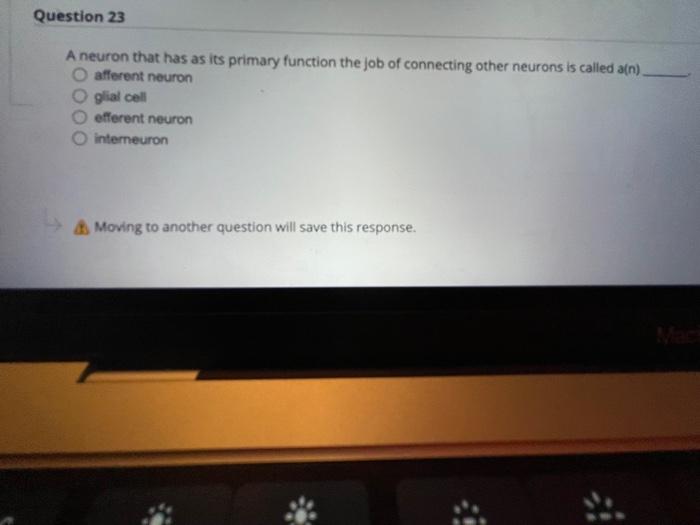 Question 31 The Action Potential Is Caused By Permeability Changes In The Plasma Membrane True False Moving To Another 5