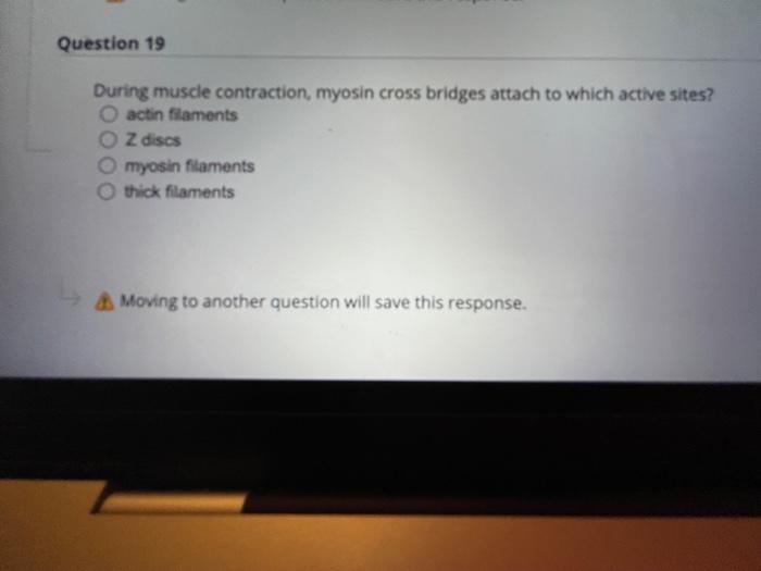 Question 20 Chemical Properties Are Determined Primarily By Neutrons True O False Moving To Another Question Will Save 2