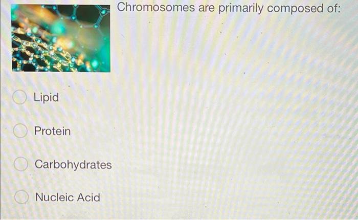 Chromosomes Are Primarily Composed Of Lipid Protein Carbohydrates Nucleic Acid 1