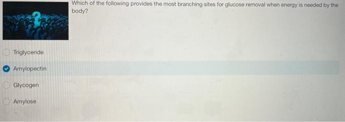Which Of The Following Provides The Most Branching Sites For Glucose Removal When Energy Is Needed By The Body Triglyce 1