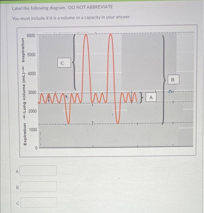 Label The Following Diagram Do Not Abbreviate You Must Include If It Is A Volume Or A Capacity In Your Answer 6000 5000 1
