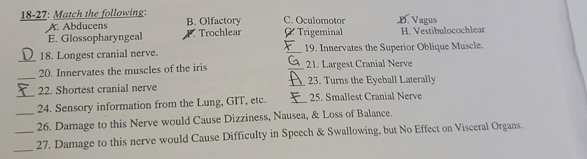 D Vagus 18 27 Match The Following A Abducens B Olfactory C Oculomotor E Glossopharyngeal X Trochlear G Trigemin 1