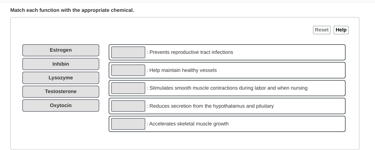 Match Each Function With The Appropriate Chemical Reset Help Estrogen Prevents Reproductive Tract Infections Inhibin 1