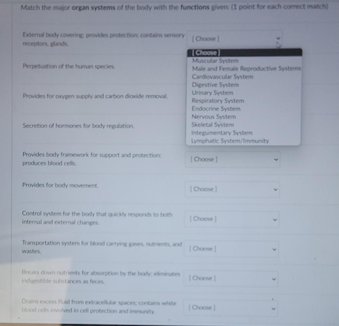 Match The Major Organ Systems Of The Body With The Functions Given 1 Point For Each Correct Match External Body Coverin 1