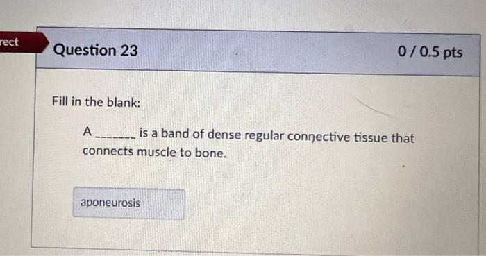 Rect Question 23 0 0 5 Pts Fill In The Blank A Is A Band Of Dense Regular Connective Tissue That Connects Muscl 1