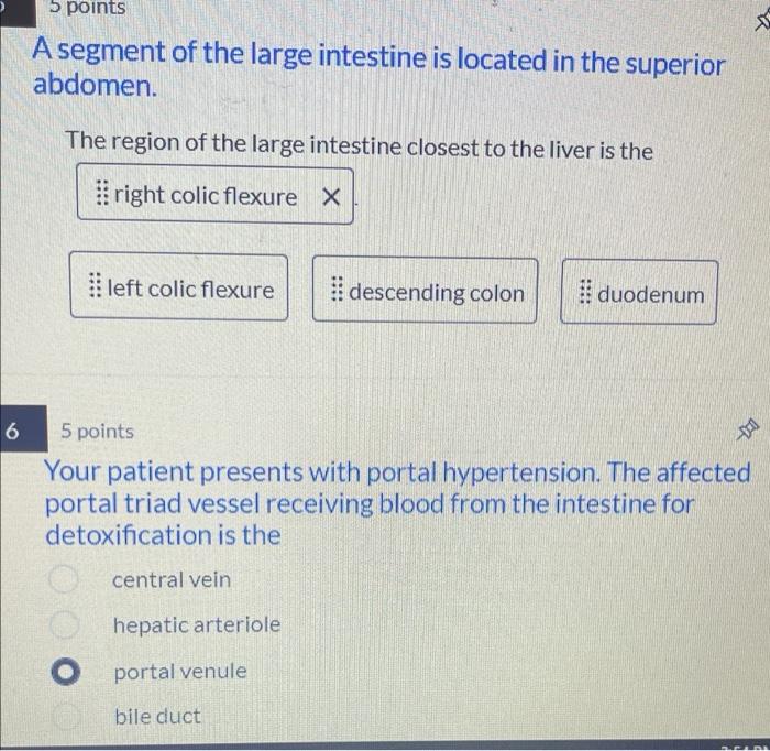 5 Points A Segment Of The Large Intestine Is Located In The Superior Abdomen The Region Of The Large Intestine Closest 1