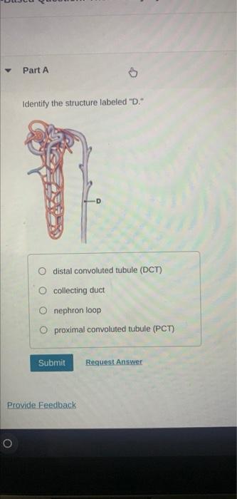 Drag The Label Onto The Diagrams To Identify The Microscopices Of The Part A Drag The Labels Onto The Degram To Identi 3