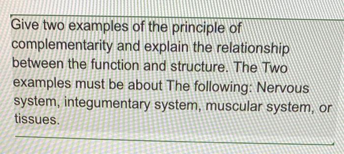 Give Two Examples Of The Principle Of Complementarity And Explain The Relationship Between The Function And Structure T 1
