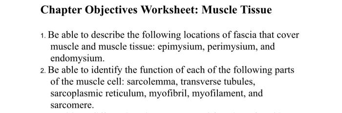 Chapter Objectives Worksheet Muscle Tissue 1 Be Able To Describe The Following Locations Of Fascia That Cover Muscle A 1