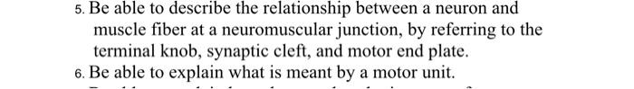 5 Be Able To Describe The Relationship Between A Neuron And Muscle Fiber At A Neuromuscular Junction By Referring To T 1
