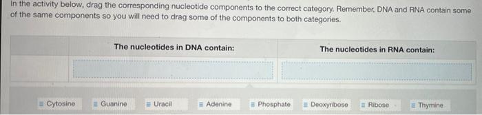 In The Activity Below Drag The Corresponding Nucleotide Components To The Correct Category Remember Dna And Rna Conta 1