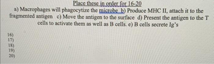 Place These In Order For 16 20 A Macrophages Will Phagocytize The Microbe B Produce Mhc Ii Attach It To The Fragmente 1