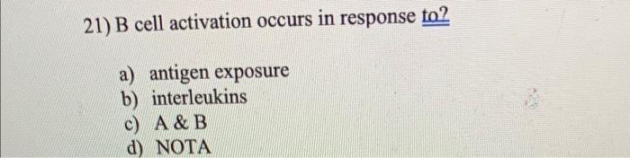 21 B Cell Activation Occurs In Response To A Antigen Exposure B Interleukins C A B D Nota 1