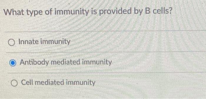 What Type Of Immunity Is Provided By B Cells O Innate Immunity Antibody Mediated Immunity O Cell Mediated Immunity 1