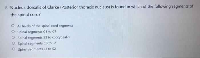 2 An 81 Year Old Man Came To The Emergency Room Because Of Right Arm Numbness And Mild Language Difficulties He Became 2