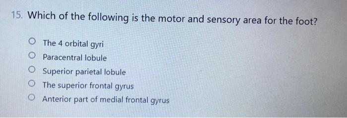 15 Which Of The Following Is The Motor And Sensory Area For The Foot O The 4 Orbital Gyri O Paracentral Lobule Superio 1