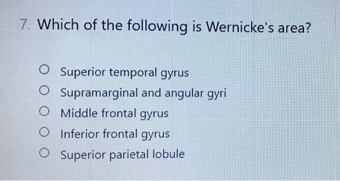 15 Which Of The Following Is The Motor And Sensory Area For The Foot O The 4 Orbital Gyri O Paracentral Lobule Superio 2