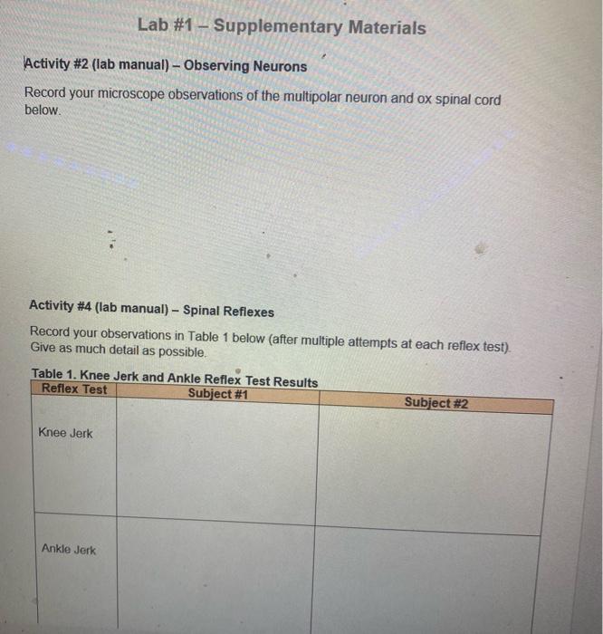 Lab 1 Supplementary Materials Activity 2 Lab Manual Observing Neurons Record Your Microscope Observations Of The 1
