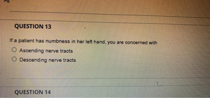 3 Question 13 If A Patient Has Numbness In Her Left Hand You Are Concerned With O Ascending Nerve Tracts O Descending N 1